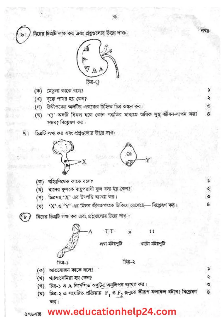 SSC 2023 Biology Dinajpur Board Question 3